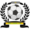 https://img.yayun123.com/img/football/team/6dc6d59af2f0962597b412473a6708ee.png